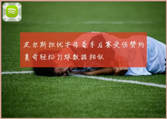 皮尔斯担忧字母哥季后赛受伤赞约基奇轻松打球数据相似
